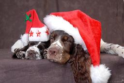 God Jul!